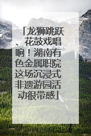 龙狮跳跃、花鼓戏唱响！湖南有色金属职院这场沉浸式非遗游园活动很带感