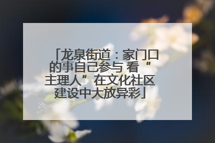 龙泉街道：家门口的事自己参与 看“主理人”在文化社区建设中大放异彩