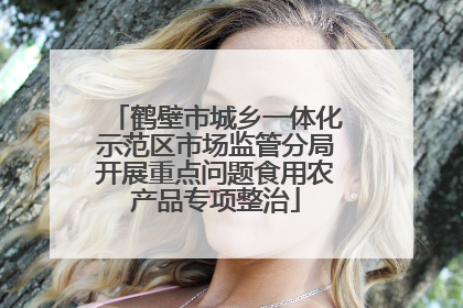鹤壁市城乡一体化示范区市场监管分局开展重点问题食用农产品专项整治