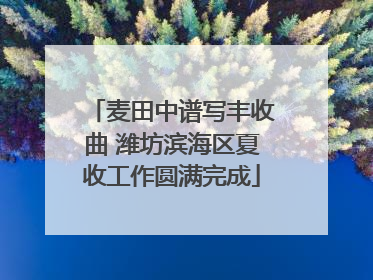 麦田中谱写丰收曲 潍坊滨海区夏收工作圆满完成