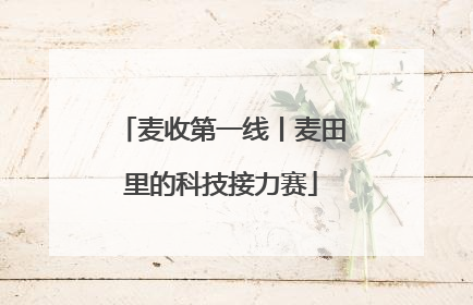麦收第一线丨麦田里的科技接力赛