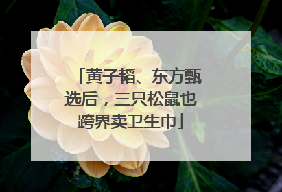 黄子韬、东方甄选后，三只松鼠也跨界卖卫生巾