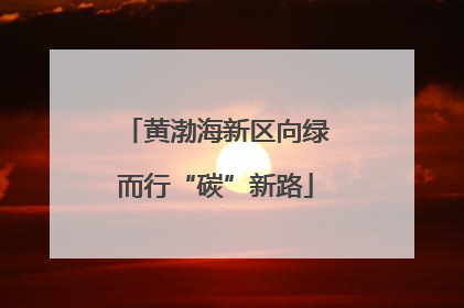 黄渤海新区向绿而行“碳”新路