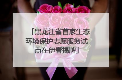 黑龙江省首家生态环境保护志愿服务试点在伊春揭牌