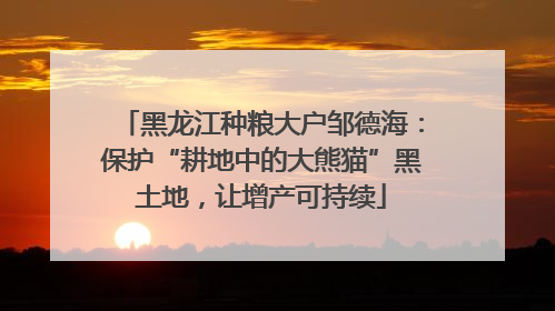 黑龙江种粮大户邹德海：保护“耕地中的大熊猫”黑土地，让增产可持续