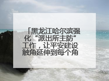 黑龙江哈尔滨强化“派出所主防”工作，让平安建设触角延伸到每个角落……