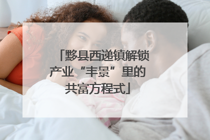 黟县西递镇解锁产业“丰景”里的共富方程式
