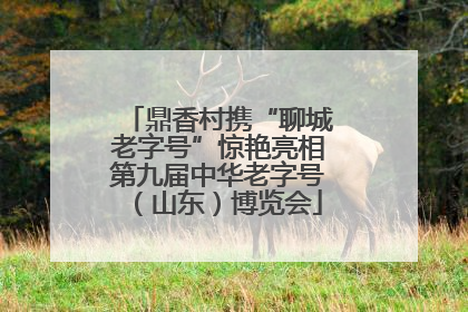 鼎香村携“聊城老字号”惊艳亮相第九届中华老字号（山东）博览会