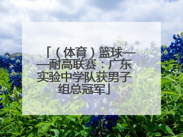 （体育）篮球——耐高联赛：广东实验中学队获男子组总冠军