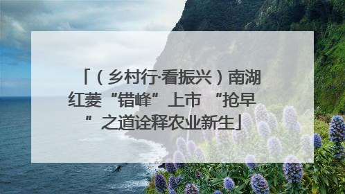 （乡村行·看振兴）南湖红菱“错峰”上市 “抢早”之道诠释农业新生