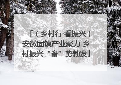 （乡村行·看振兴）安徽固镇产业聚力 乡村振兴“畜”势勃发