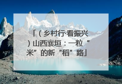 （乡村行·看振兴）山西襄垣：一粒“米”的新“稻”路