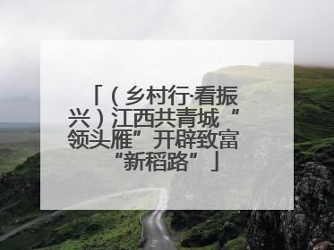 （乡村行·看振兴）江西共青城“领头雁”开辟致富“新稻路”