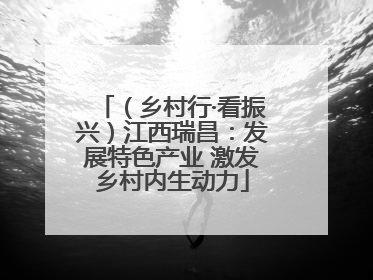 （乡村行·看振兴）江西瑞昌：发展特色产业 激发乡村内生动力