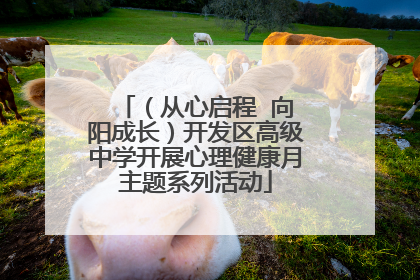 （从心启程  向阳成长）开发区高级中学开展心理健康月主题系列活动
