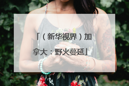 （新华视界）加拿大：野火蔓延