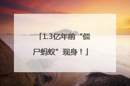 1.3亿年前“僵尸蚂蚁”现身！