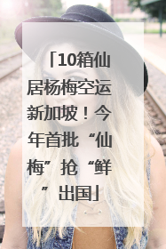 10箱仙居杨梅空运新加坡！今年首批“仙梅”抢“鲜”出国