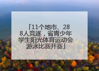 11个地市、288人竞逐，省青少年学生阳光体育运动会游泳比赛开赛