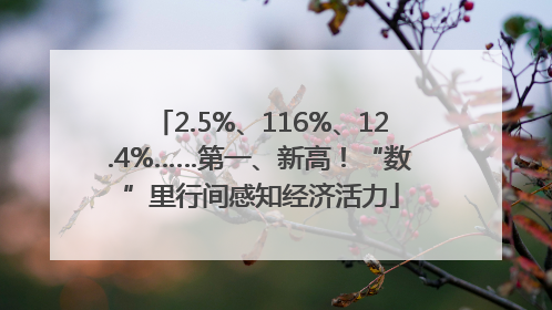 2.5%、116%、12.4%……第一、新高！“数”里行间感知经济活力