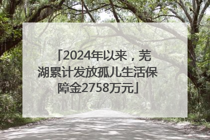 2024年以来，芜湖累计发放孤儿生活保障金2758万元