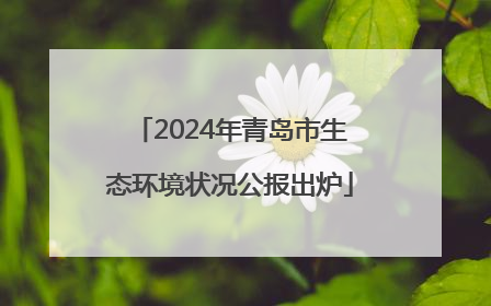 2024年青岛市生态环境状况公报出炉