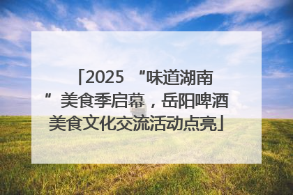 2025 “味道湖南”美食季启幕，岳阳啤酒美食文化交流活动点亮