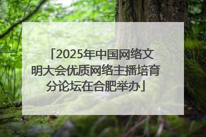 2025年中国网络文明大会优质网络主播培育分论坛在合肥举办