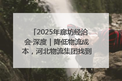 2025年廊坊经洽会·深度｜降低物流成本，河北物流集团找到一把“金钥匙”