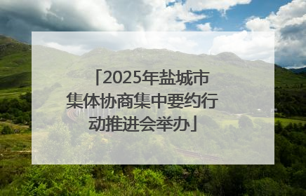 2025年盐城市集体协商集中要约行动推进会举办