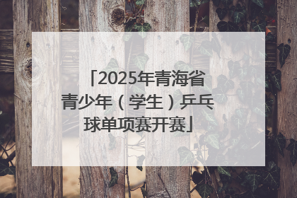2025年青海省青少年（学生）乒乓球单项赛开赛