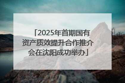 2025年首期国有资产质效提升合作推介会在沈阳成功举办