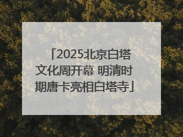 2025北京白塔文化周开幕 明清时期唐卡亮相白塔寺