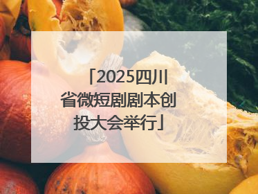 2025四川省微短剧剧本创投大会举行