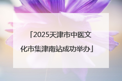 2025天津市中医文化市集津南站成功举办