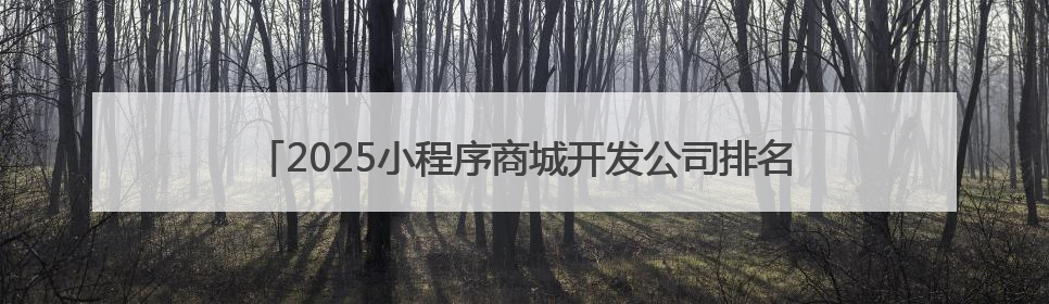 2025小程序商城开发公司排名，盘点优质的小程序商城开发公司