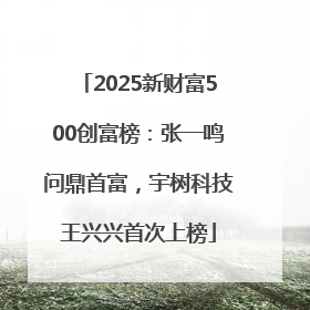 2025新财富500创富榜：张一鸣问鼎首富，宇树科技王兴兴首次上榜