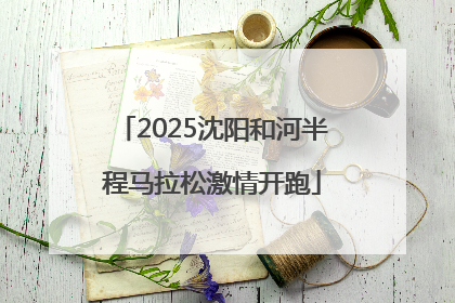 2025沈阳和河半程马拉松激情开跑