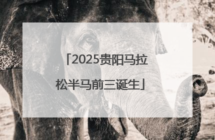 2025贵阳马拉松半马前三诞生