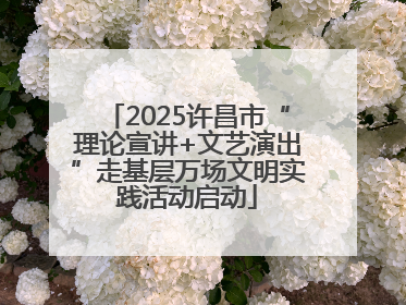 2025许昌市“理论宣讲+文艺演出”走基层万场文明实践活动启动
