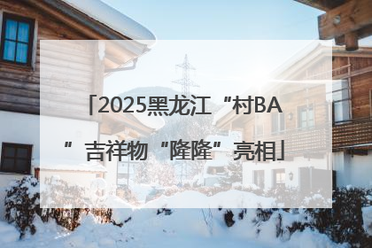 2025黑龙江“村BA”吉祥物“隆隆”亮相