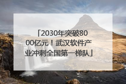 2030年突破8000亿元！武汉软件产业冲刺全国第一梯队