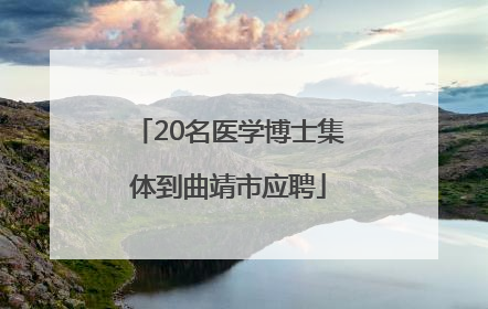 20名医学博士集体到曲靖市应聘