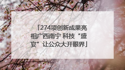 274项创新成果亮相广西南宁 科技“盛宴”让公众大开眼界