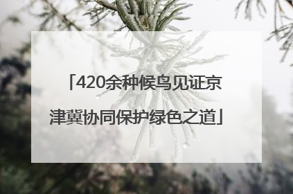420余种候鸟见证京津冀协同保护绿色之道