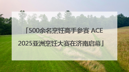 500余名烹饪高手参赛 ACE2025亚洲烹饪大赛在济南启幕