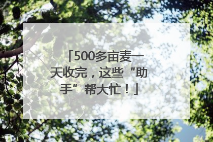 500多亩麦一天收完，这些“助手”帮大忙！