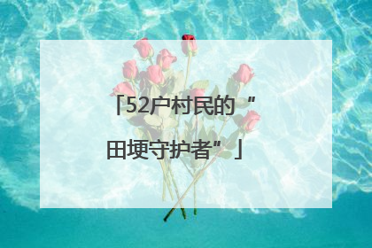 52户村民的“田埂守护者”