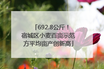 692.8公斤！宿城区小麦百亩示范方平均亩产创新高