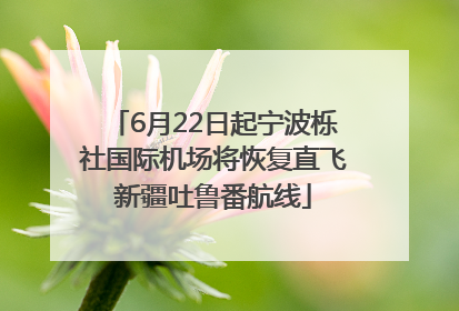 6月22日起宁波栎社国际机场将恢复直飞新疆吐鲁番航线